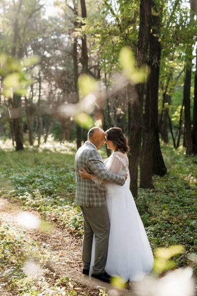 Walk Bride Groom Autumn Forest October — Stock Photo, Image