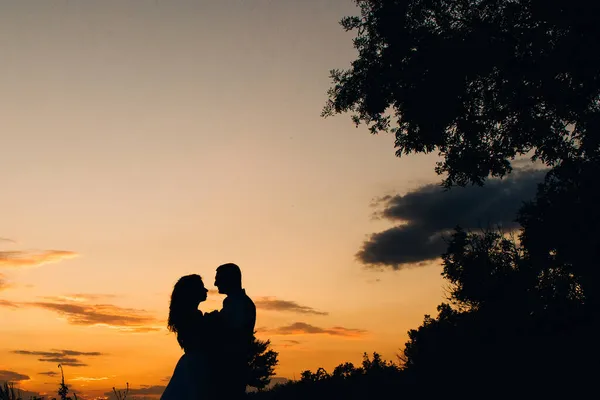 Silhouetten Eines Glücklichen Jungen Paares Vor Einem Hintergrund Orangefarbener Sonnenuntergänge — Stockfoto