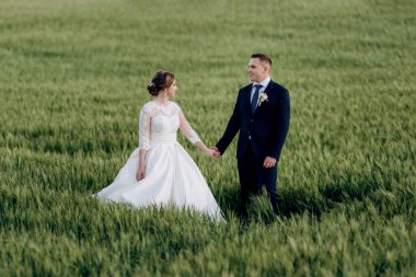 Damat ve gelin açık havada buğday yeşili tarlalarda yürür.