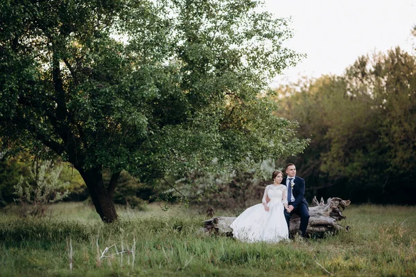 Brudgummen Och Bruden Går Skogen Nära Smal Flod Ljus Dag — Stockfoto