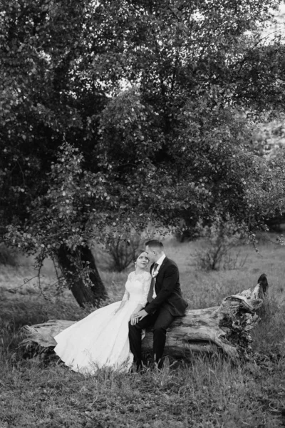 Novio Novia Están Caminando Bosque Cerca Río Estrecho Día Brillante —  Fotos de Stock