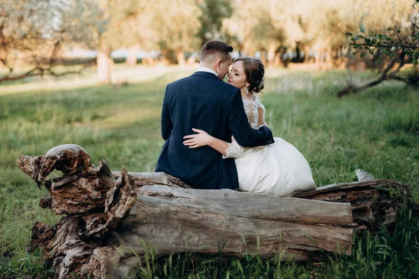 Der Bräutigam Und Die Braut Spazieren Einem Hellen Tag Wald — Stockfoto