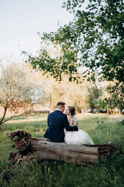 Der Bräutigam Und Die Braut Spazieren Einem Hellen Tag Wald — Stockfoto