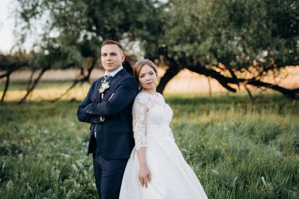 Der Bräutigam Und Die Braut Spazieren Einem Hellen Tag Wald — Stockfoto