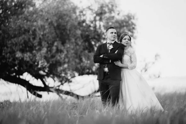 Groom Bride Walking Forest Narrow River Bright Day — Stock Photo, Image