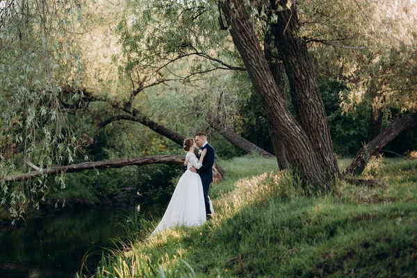 Der Bräutigam Und Die Braut Spazieren Einem Hellen Tag Wald — Stockfoto