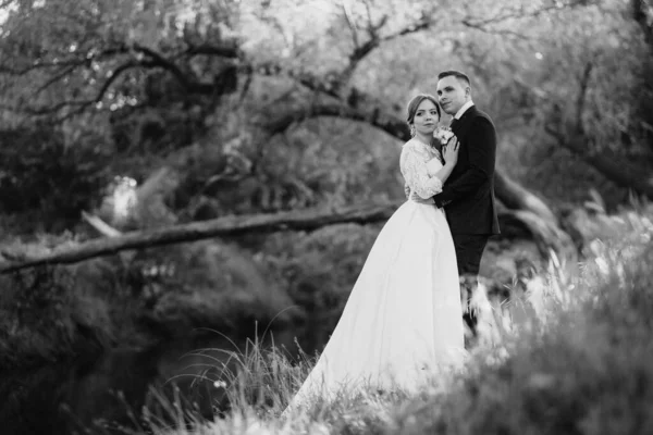 Groom Bride Walking Forest Narrow River Bright Day — Stock Photo, Image