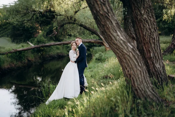 Novio Novia Están Caminando Bosque Cerca Río Estrecho Día Brillante —  Fotos de Stock