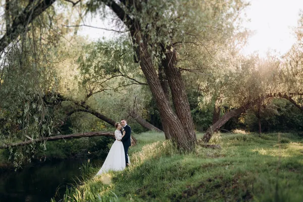 Der Bräutigam Und Die Braut Spazieren Einem Hellen Tag Wald — Stockfoto