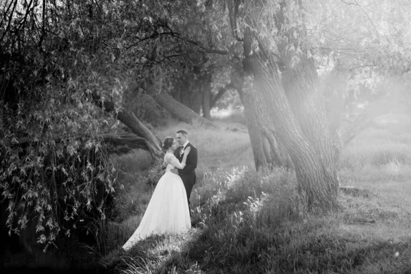 Brudgummen Och Bruden Går Skogen Nära Smal Flod Ljus Dag — Stockfoto