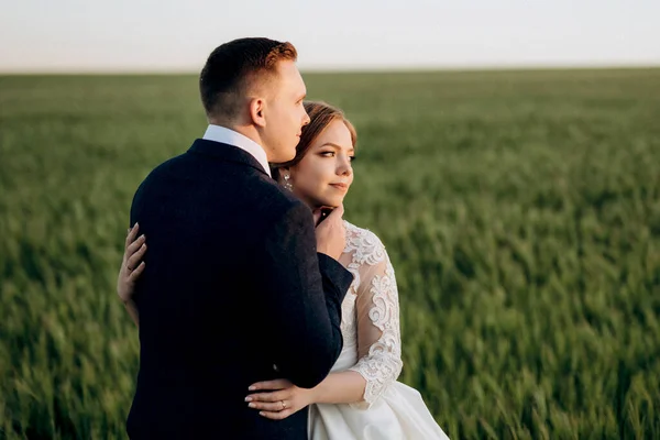 Жених Невеста Идут Пшеничному Зеленому Полю Светлый День — стоковое фото