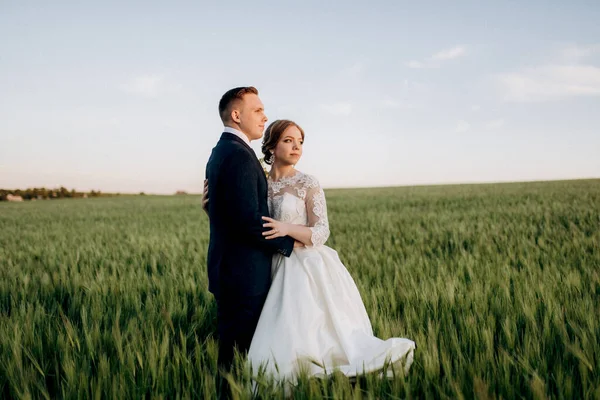 Novio Novia Caminan Largo Del Campo Verde Trigo Día Brillante —  Fotos de Stock