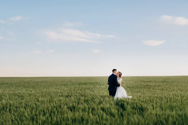Жених Невеста Идут Пшеничному Зеленому Полю Светлый День — стоковое фото