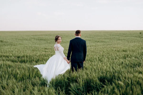 Bruidegom Bruidegom Wandelen Een Heldere Dag Langs Het Tarwegroene Veld — Stockfoto