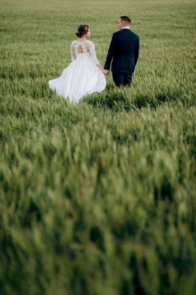 Γαμπρός Και Νύφη Περπατούν Στο Χωράφι Σιτάρι Μια Φωτεινή Μέρα — Φωτογραφία Αρχείου