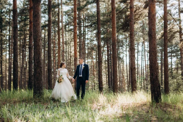 Bruid Bruidegom Wandelen Een Dennenbos Een Heldere Dag — Stockfoto