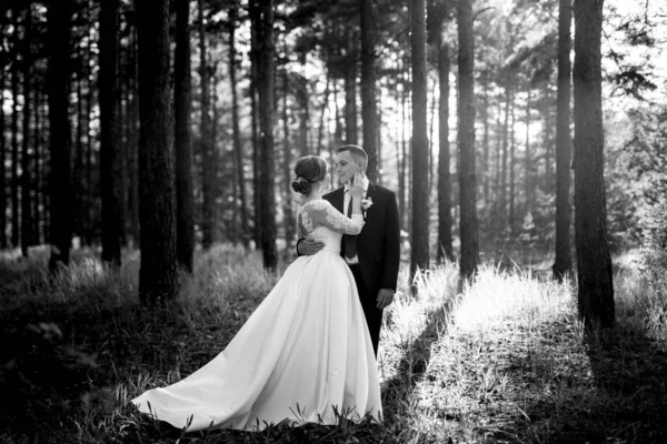 Невеста Жених Гуляют Сосновом Лесу Светлый День — стоковое фото