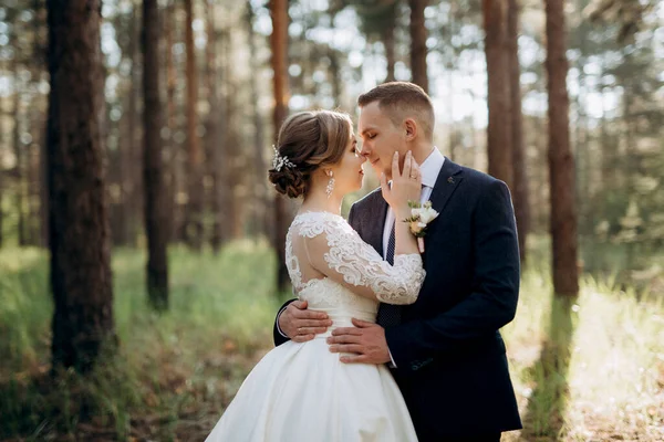 Gelin Damat Aydınlık Bir Günde Çam Ormanında Yürüyorlar — Stok fotoğraf