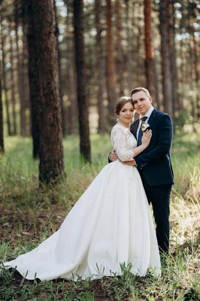 Bride Groom Walking Pine Forest Bright Day — Stock Photo, Image