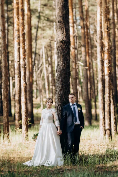 在一个晴朗的日子里 新娘和新郎正在松树林中散步 — 图库照片