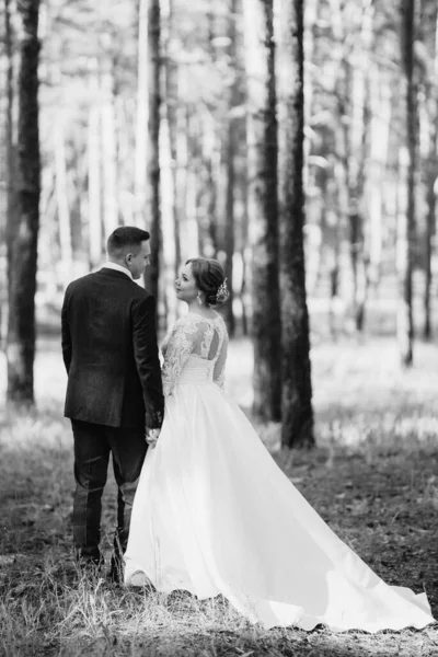 Gelin Damat Aydınlık Bir Günde Çam Ormanında Yürüyorlar — Stok fotoğraf