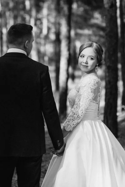 Bruden Och Brudgummen Går Tallskog Ljus Dag — Stockfoto