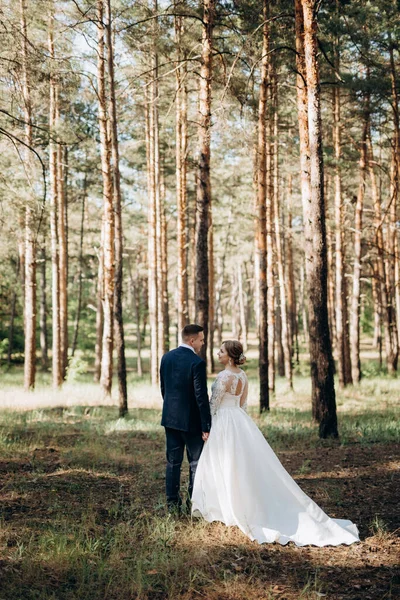 Bruden Och Brudgummen Går Tallskog Ljus Dag — Stockfoto