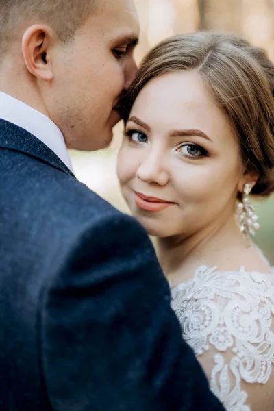 Novia Novio Están Caminando Bosque Pinos Día Brillante —  Fotos de Stock