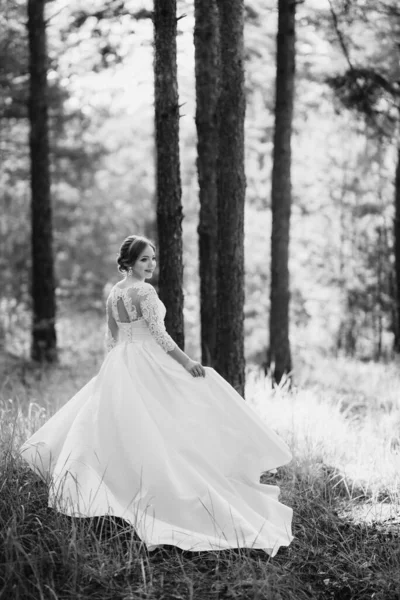 Mariée Marchant Dans Pinède Par Beau Jour — Photo