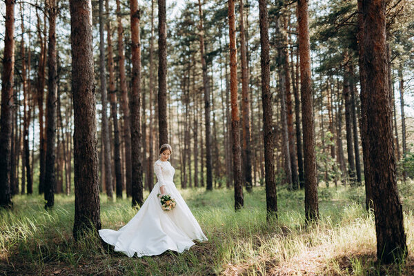 The bride walking in a pine forest on a bright day