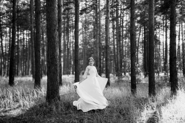 Mariée Marchant Dans Pinède Par Beau Jour — Photo