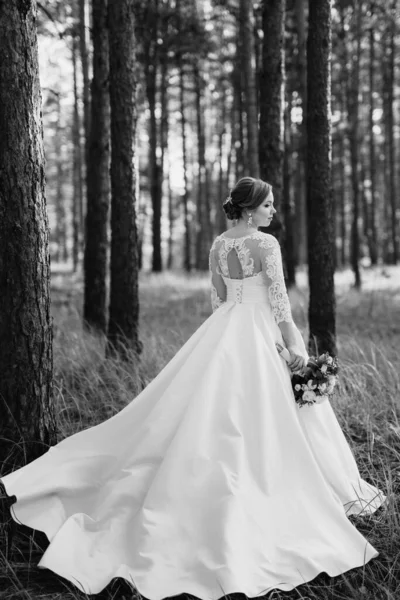 Bruid Wandelen Een Dennenbos Een Heldere Dag — Stockfoto