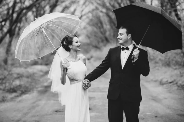 Noiva Noivo Dia Casamento Chuvoso Andando Sob Guarda Chuva — Fotografia de Stock