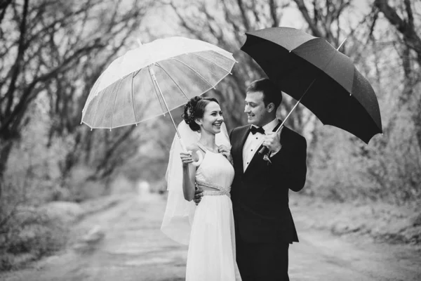 Noiva Noivo Dia Casamento Chuvoso Andando Sob Guarda Chuva — Fotografia de Stock