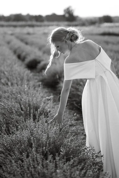 Bruid Een Witte Jurk Loopt Het Lavendelveld — Stockfoto