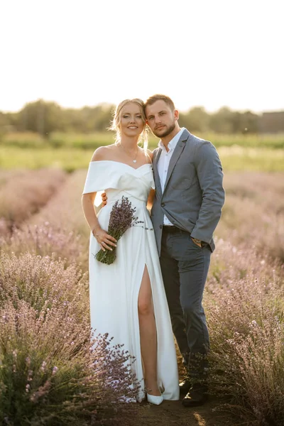 Braut Und Bräutigam Beim Spaziergang Lavendelfeld — Stockfoto