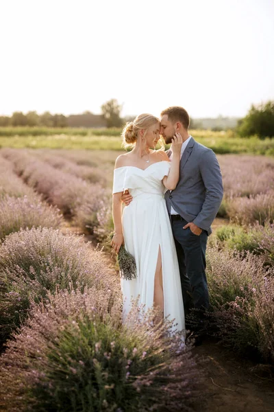 Braut Und Bräutigam Beim Spaziergang Lavendelfeld — Stockfoto