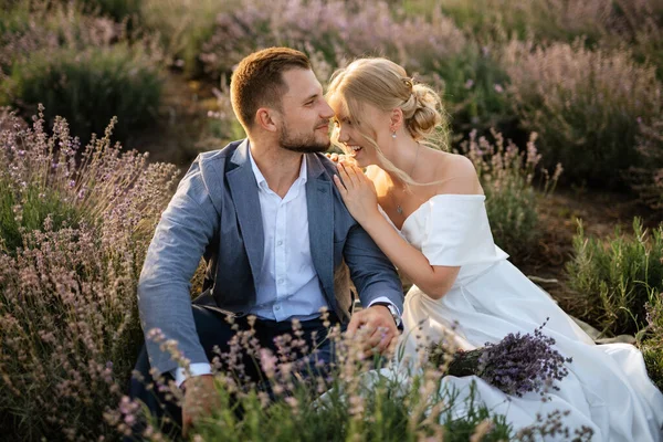 Braut Und Bräutigam Beim Spaziergang Lavendelfeld — Stockfoto