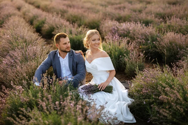 Braut Und Bräutigam Beim Spaziergang Lavendelfeld — Stockfoto