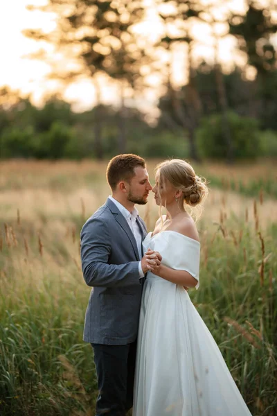 Menyasszony Vőlegény Egy Séta Erdőben — Stock Fotó