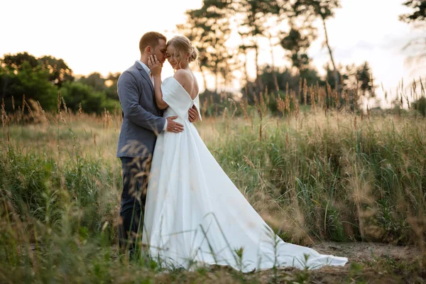 Novia Novio Paseo Por Bosque —  Fotos de Stock