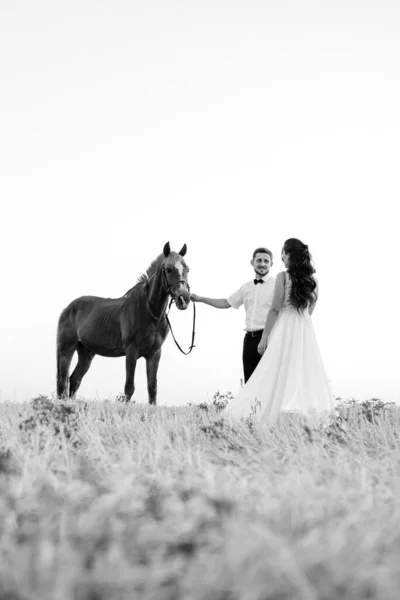 Невеста Белом Платье Жених Белой Рубашке Прогулке Коричневыми Лошадьми — стоковое фото
