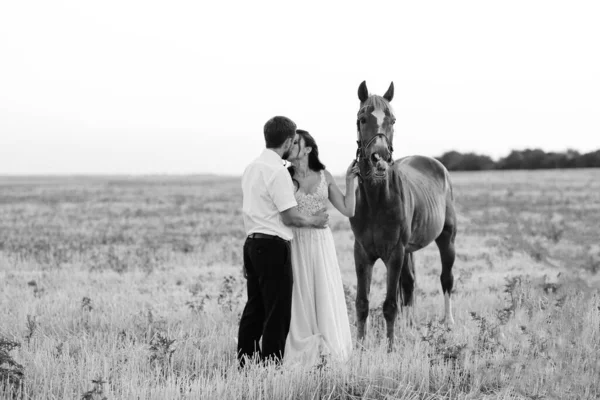 Bride White Dress Groom White Shirt Walk Brown Horses — Stock Photo, Image