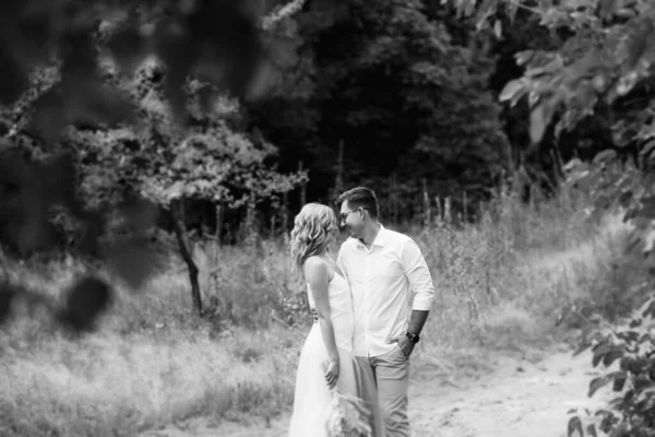 Young Couple Newlyweds Walk Pine Forest — Stock Photo, Image