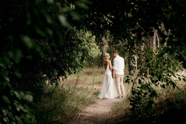 Joven Pareja Recién Casados Paseo Bosque Pinos —  Fotos de Stock