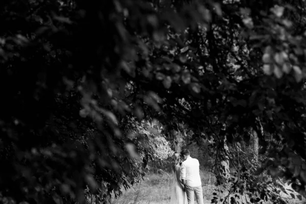 Young Couple Newlyweds Walk Pine Forest — Photo