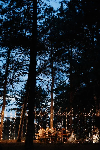 Ormanda Akşam Yemeği Ampuller Mumlarla — Stok fotoğraf