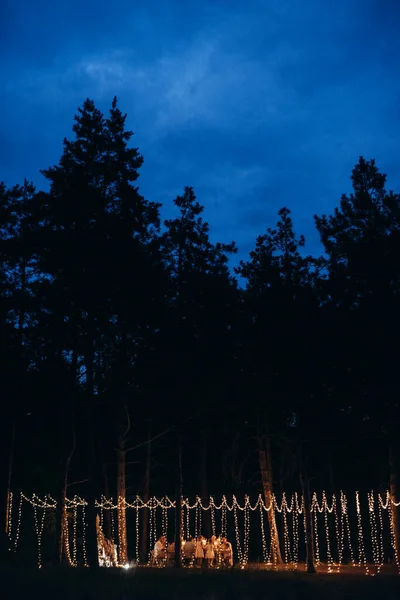 Soir Mariage Dîner Famille Dans Forêt Avec Des Ampoules Des — Photo