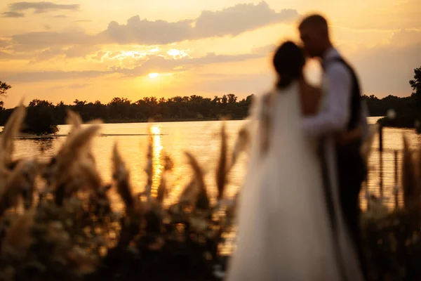 Noiva Noivo Contra Pano Fundo Pôr Sol Amarelo Cais Perto — Fotografia de Stock