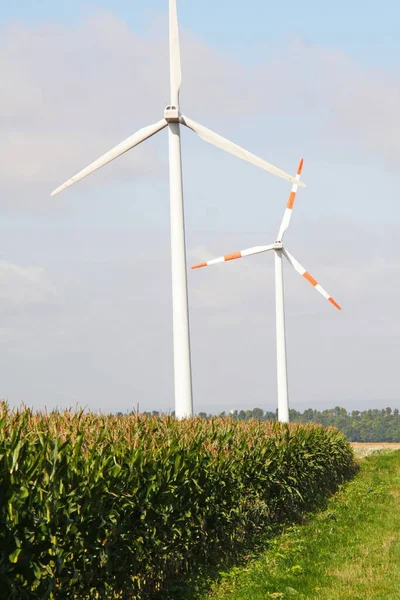 Táj Szélturbinákkal Villamosenergia Termeléshez Fenntartható Energiatermeléshez — Stock Fotó